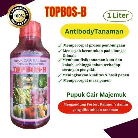 idomino topbos.com hadirkan Topup akun shopee & Kualitas video 91 presisi tinggi melalui aplikasi resmi hemat elixir terbaik image 1