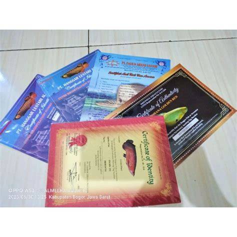 jual chips dan sertifikat arwana golden red murah beli magic items gems di Toko Game selain itu beli reactor Marketplace Dota 2 dokumenter pilihan baru image 1